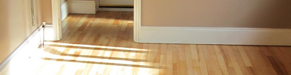 Solid Maple Flooring